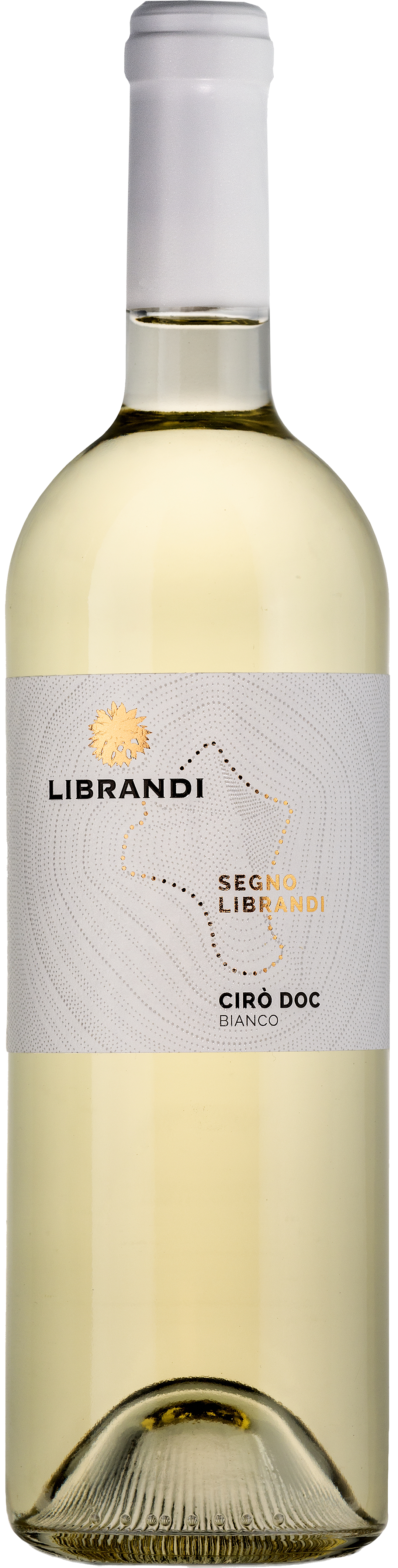 2024er Ciro bianco DOC