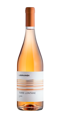 2025er Terre Lontane Rosato IGT